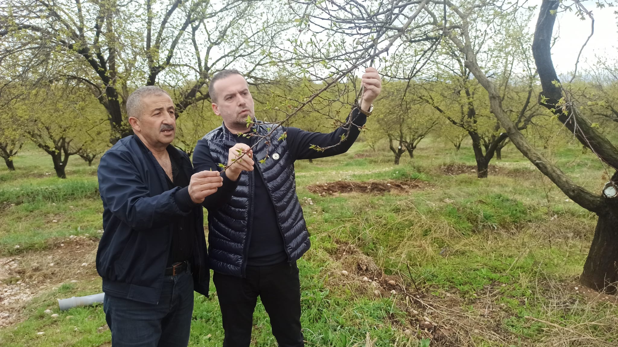 Başkan Karademir: "Zarar büyük"