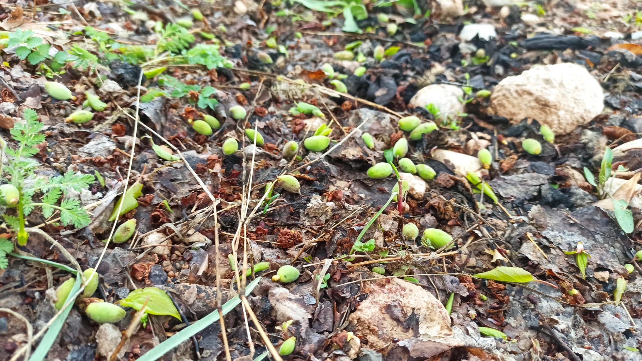 AĞBABA:"GEÇMİŞ OLSUN MALATYA"
