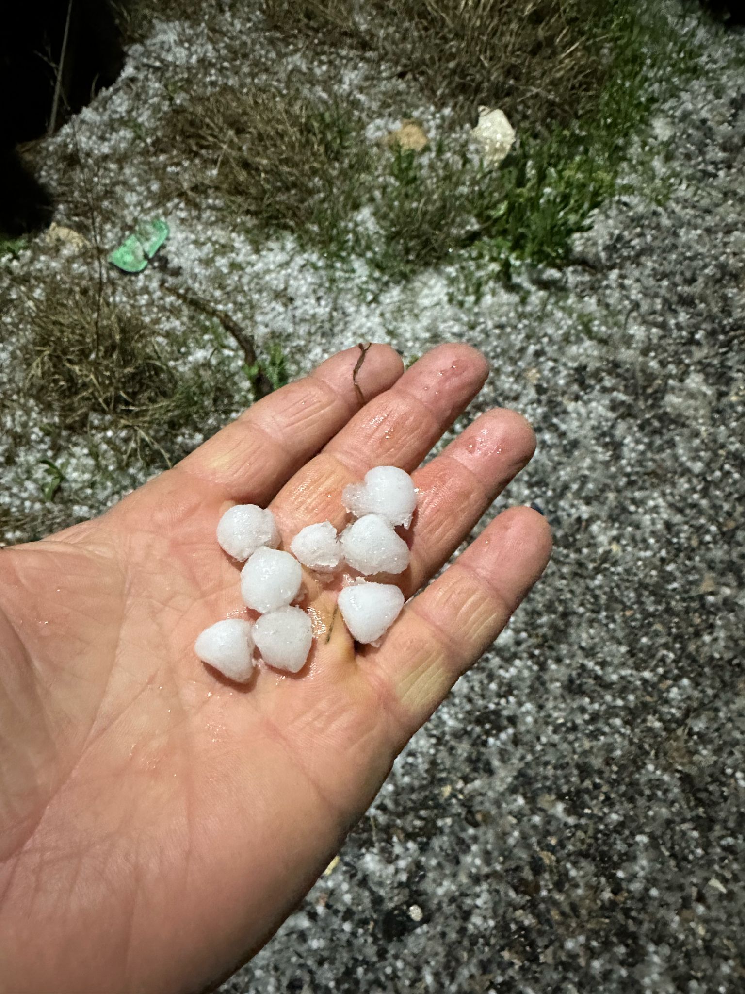 Keskin: “KAYISI ÜRETİCİSİNE SAHİP ÇIKIN”