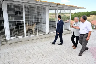 Başkan Taşkın, Hayvan Barınağında İncelemelerde Bulundu